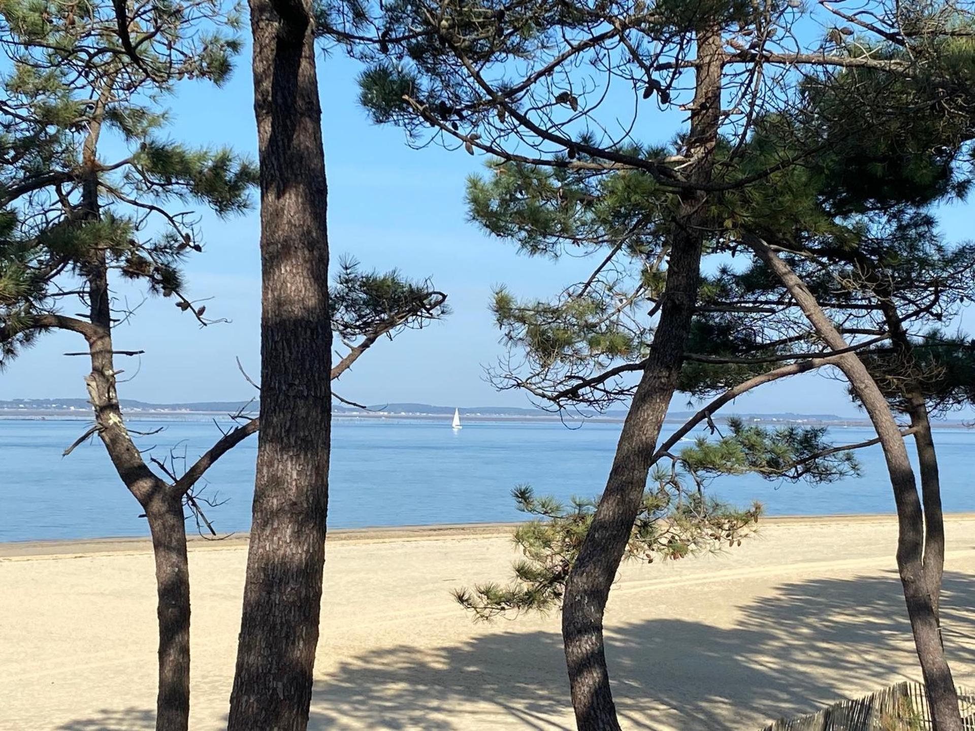 Les Cottages du Bassin d'Arcachon: Charming Retreats with Optional Breakfast Gujan-Mestras Exterior photo