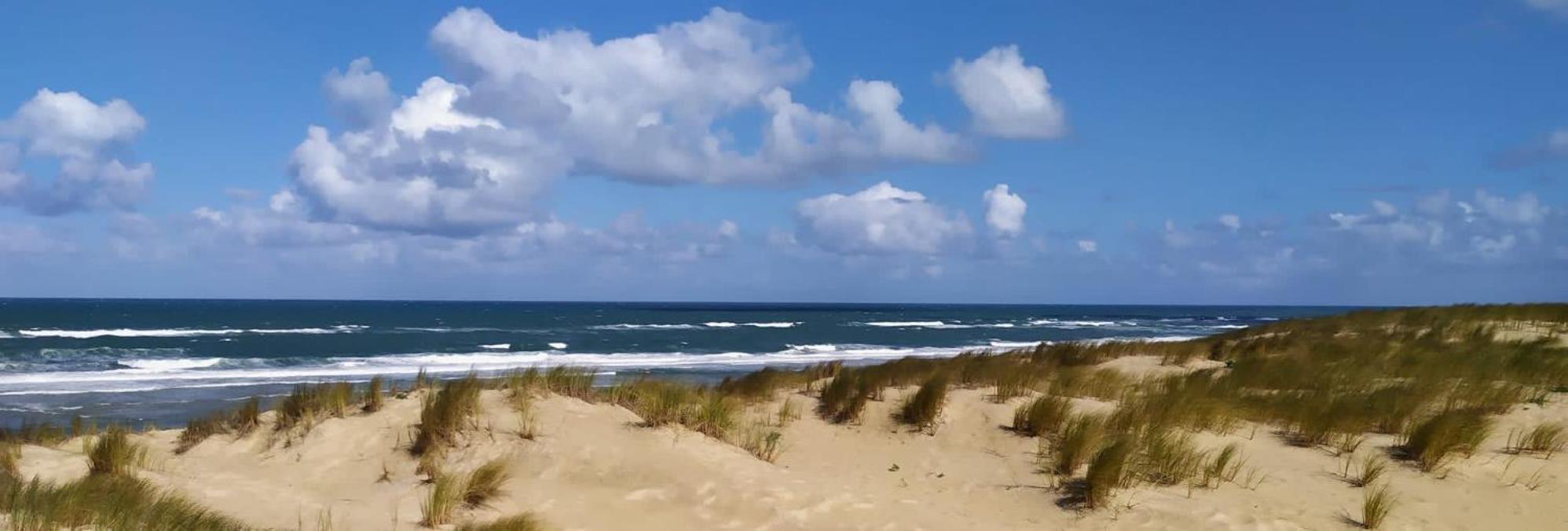 Les Cottages du Bassin d'Arcachon: Charming Retreats with Optional Breakfast Gujan-Mestras Exterior photo