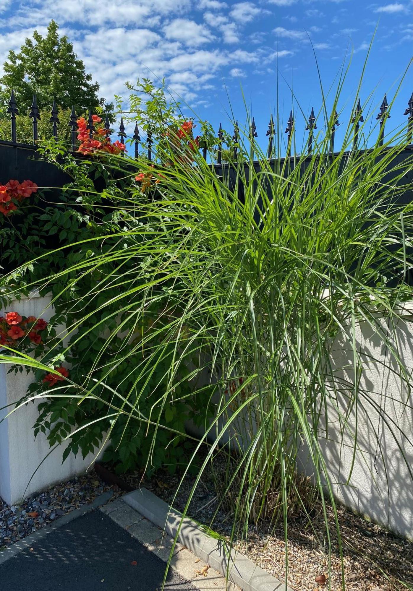 Les Cottages du Bassin d'Arcachon: Charming Retreats with Optional Breakfast Gujan-Mestras Exterior photo
